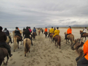 Gul sand på havsstranden Löngufjörur på Snæfellsneshalvön