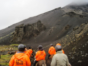 island2014_161