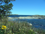 Skärgården runt Hålviken