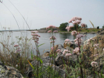 Skärgården runt Hålviken