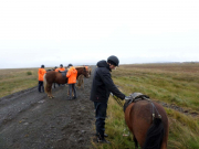 Mats och hästen Þróttur. Det är lättare att sitta upp när hästen står i diket !?