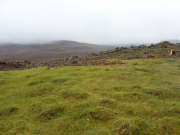 Öppna landskap på isländska. Gräs och lavafält.