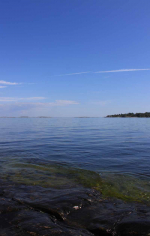 Sommar i Hålviken